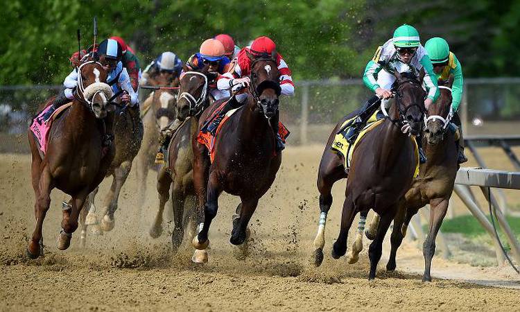 American Horse Racing Tips for Saturday 19 November by Timeform