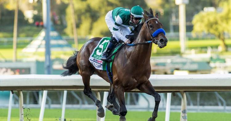 American superstar Flightline ready to light up Breeders' Cup as unbeaten record on line