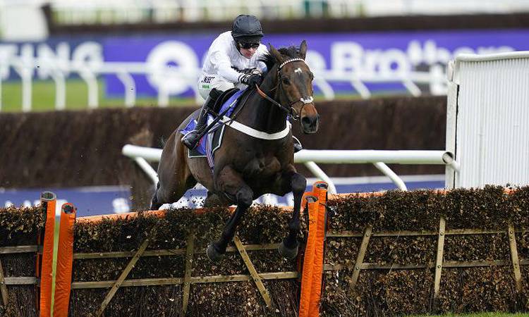 Ante-post Champion Hurdle preview: It's all about Constitution Hill