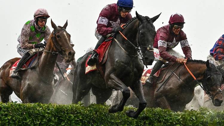 Are these the Cheltenham Festival ante-post bankers? Five stars who look rock solid