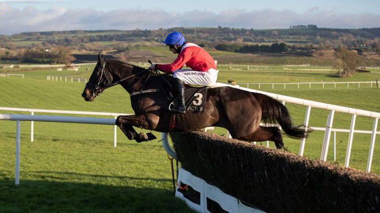 Arkle favourite Ferny Hollow ruled out of Cheltenham Festival through injury