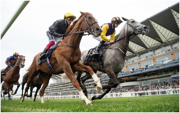 Ascot Gold Cup runners and riders, jockey colours & start time