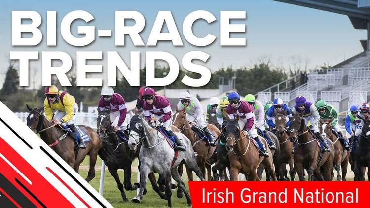 Big-race trends: key stats to help you find the winner of the Irish Grand National