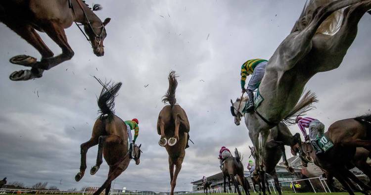 Blunt court judgment demands vital questions be asked of both racing organisations in Ireland
