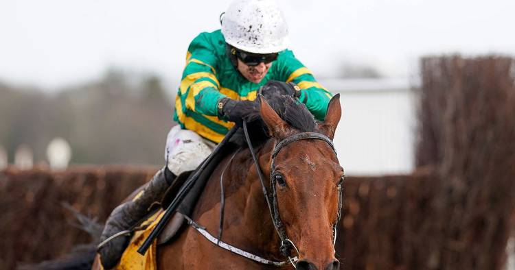 Bookies 'dodge a bullet' despite all seven favourites winning at Thurles