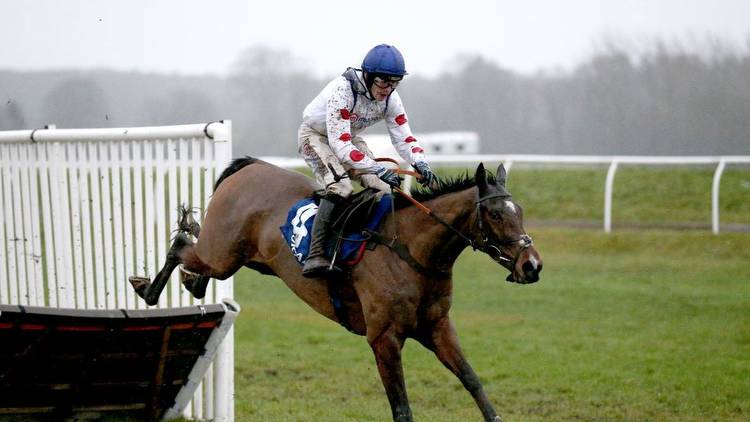Challow Novices' Hurdle: Hermes Allen destroys rivals at Newbury to go 7/2 favourite for Ballymore at Cheltenham