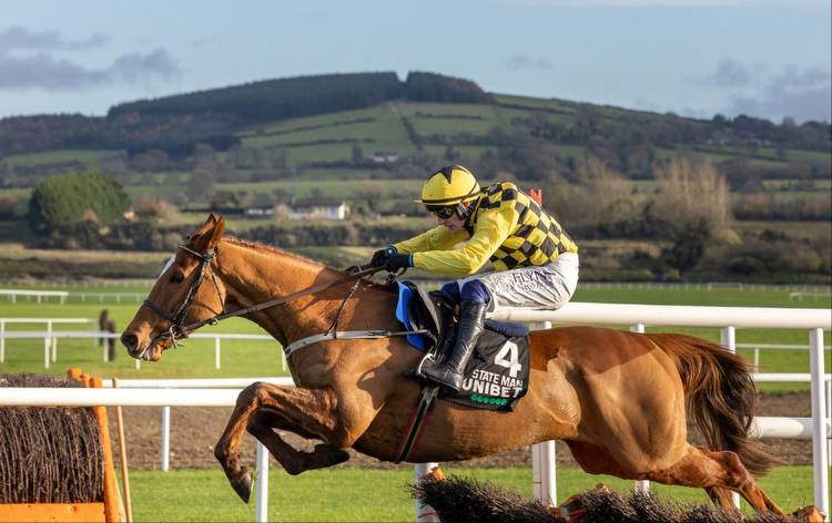 Champion Hurdle tips and runners guide to Punchestown 5.25