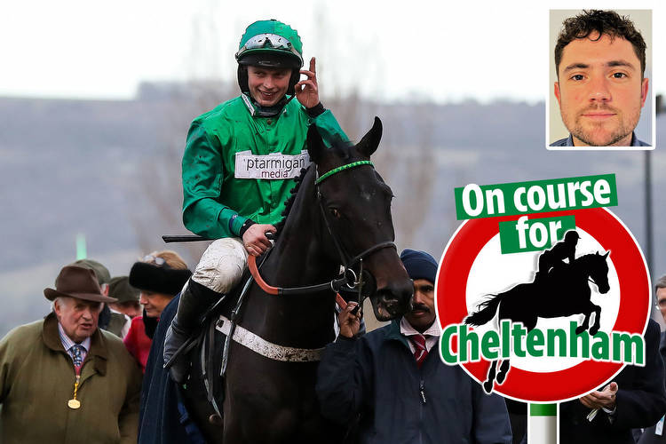 Cheltenham Festival ante post tip: 25-1 Nicky Henderson hurdler is amazing value for Coral Cup