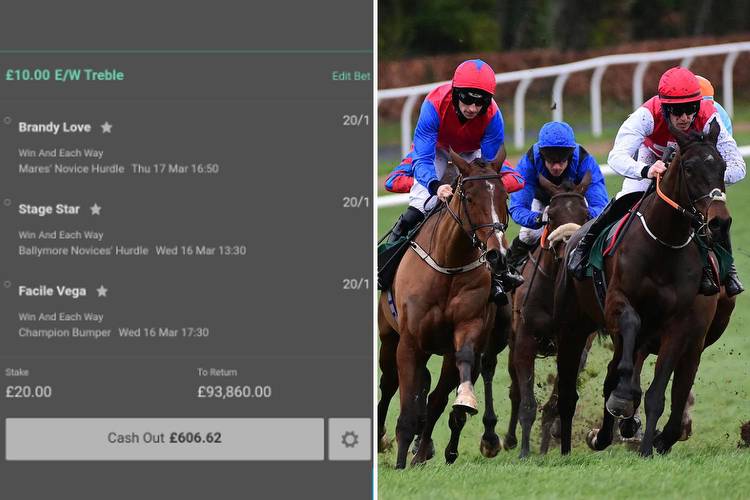 Cheltenham Festival punter’s amazing prediction means he can win big without horses even running
