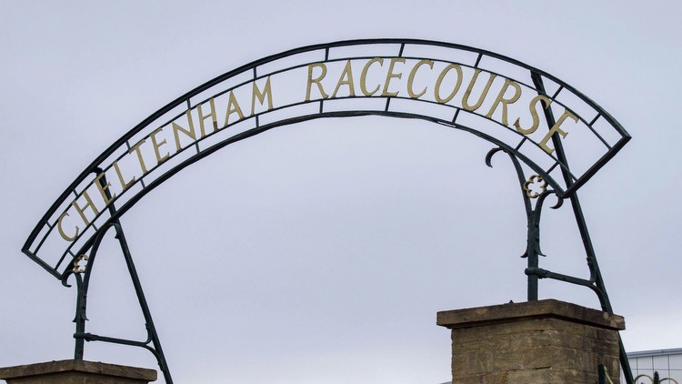 Cheltenham Festival Racecards and Full Schedule for the 2024 Festival For Gold Cup Friday
