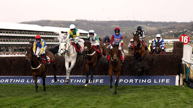 Cheltenham Festival tips: Which horses will be suited by soft ground?