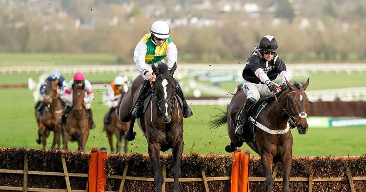 Cheltenham Friday: Tips and runners for Gold Cup Day including Festival highlight