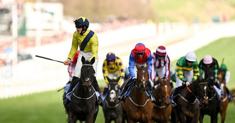Cheltenham loses another favourite as Marine Nationale ruled out of Festival