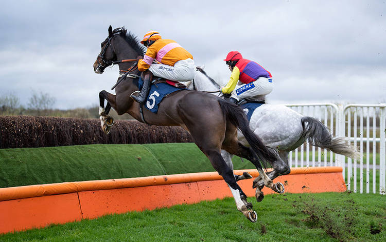 Cheltenham tips: A 16/1 bet tops our best picks in Kim Muir Challenge Cup