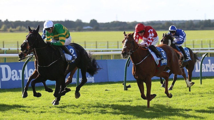 Club Godolphin Cesearewitch report and replay: The Shunter denies Pied Piper