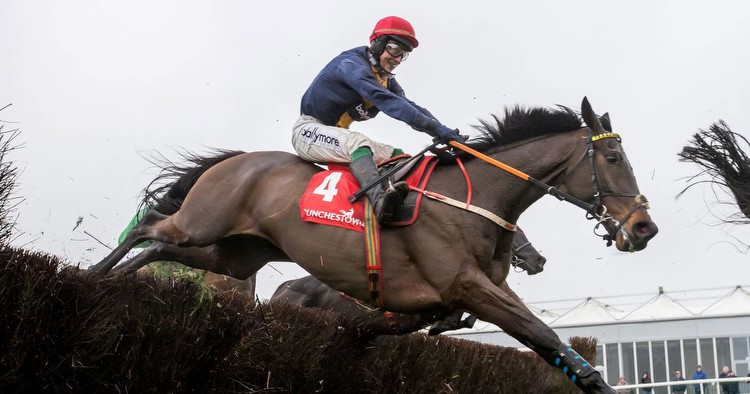 Connections of Fastorslow give update ahead of Paddy Power Irish Gold Cup