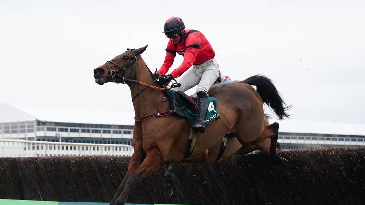 Cotswold Chase: Ahoy Senor wins dramatic renewal of Cheltenham Grade Two with Protektorat only fourth