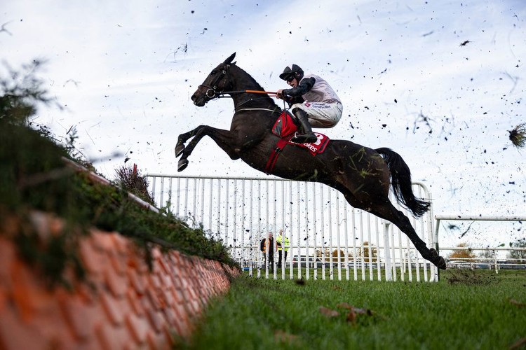 Cotswold Chase an option for Gerri Colombe with Gordon Elliott expecting 'big improvement'