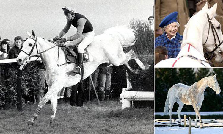 Desert Orchid: 30 years after first King George triumph we pay tribute to the horse that captured a nation's heart