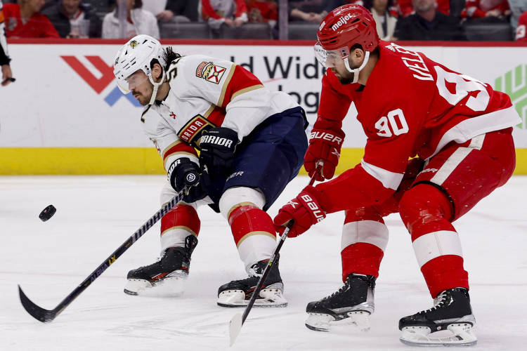Detroit Red Wings vs. Panthers Game 69 Preview, Prediction, Odds