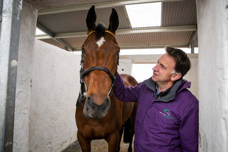 Donn McClean: Title-holder Minella Indo under-rated ahead of fascinating Cheltenham Gold Cup