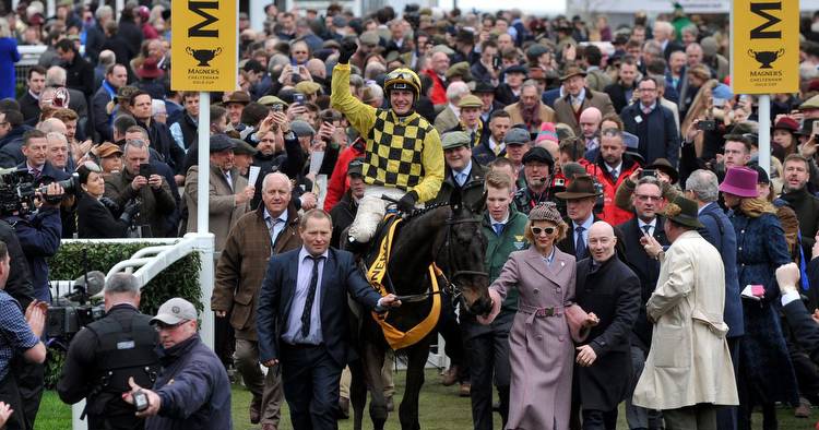 Former bookie Donnelly holds impressive hand ahead of Supreme Novices' at Cheltenham Festival