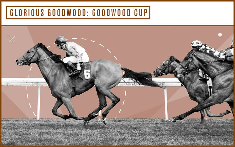 Glorious Goodwood: Goodwood Cup 2023 tips and odds