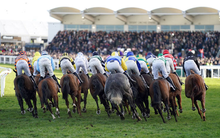 Gold Cup Betting Tips: Conflated can do it