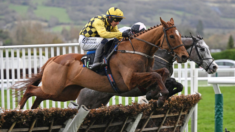Handicapper’s Blog: Andrew Mealor gives his take on State Man’s Champion Hurdle success
