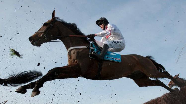 Henderson remembers Finian's Rainbow after death aged 18