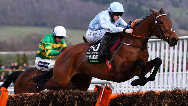 Honeysuckle 11/4 in Champion Hurdle market without Constitution Hill