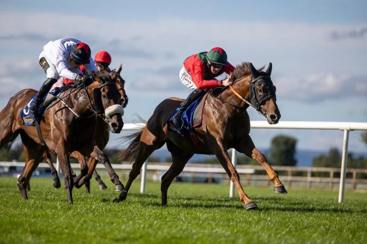 HORSE RACING: A brilliant week for Tipperary jockeys and trainers 