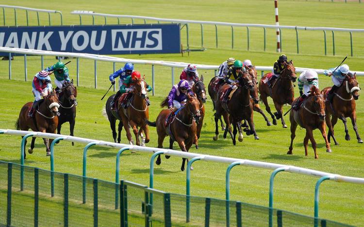 Horse racing predictions: Haydock, Ascot and Lingfield