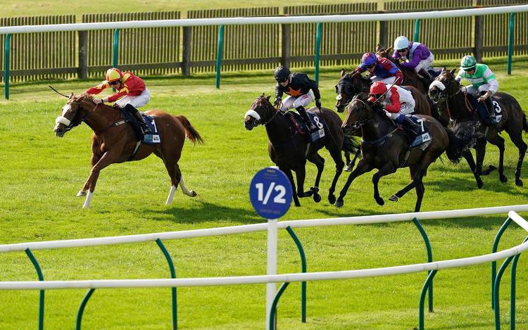 Horse racing predictions: Newmarket, Perth and Listowel