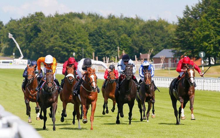 Horse racing predictions: Newmarket, Thirsk, Goodwood and Punchestown