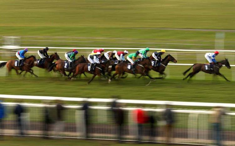 Horse racing predictions: Wetherby, Punchestown and Nottingham