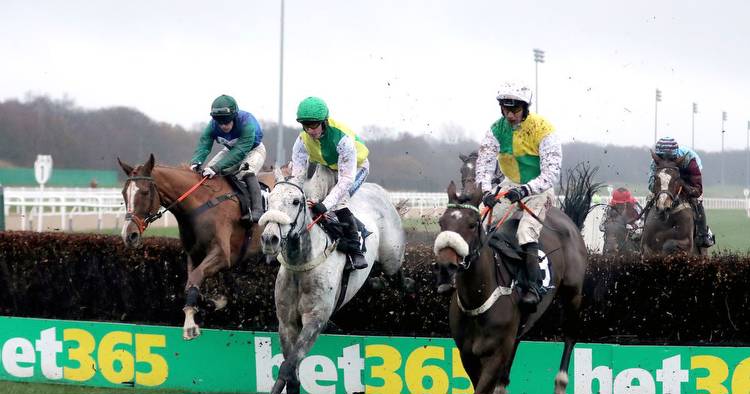 Horse racing results in FULL from Newcastle, Ludlow and Taunton