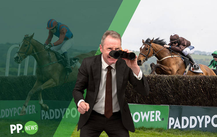 Horse Racing Tips: Mick Fitzgerald's Friday flutters at Punchestown