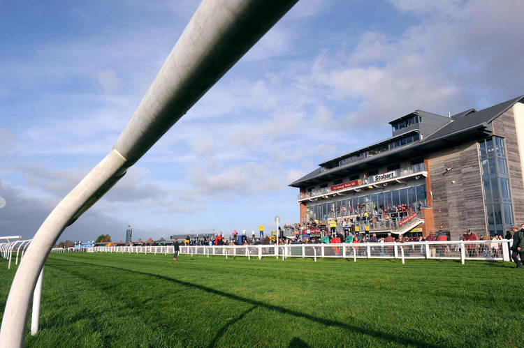 Horse Racing Tips Monday 20th February 2023 best bets and most tipped horses