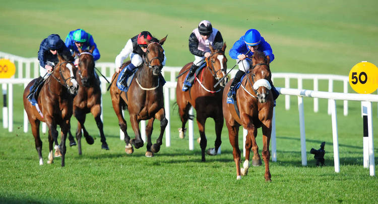 Horse racing tips: Monday picks for Naas and Pontefract