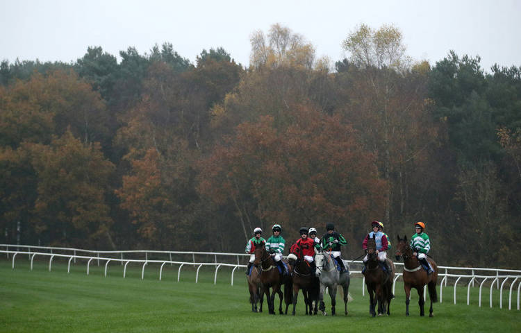 Horse Racing Tips Thursday 17th November 2022 best bets and most tipped horses