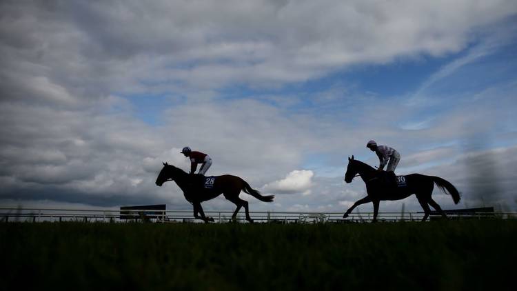 Horse Racing Tips Today: Timeform ratings and Flags for Sunday