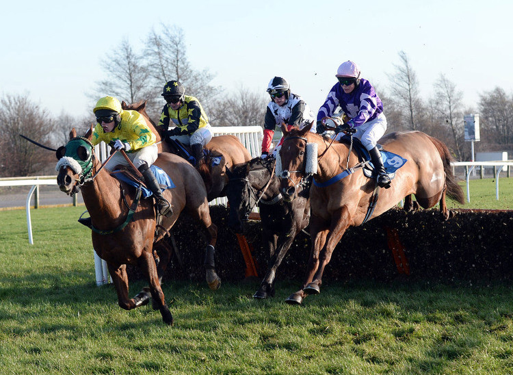 Horse Racing Tips: Tuesday's Best Bets and Most Tipped Horses