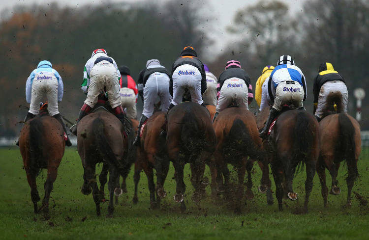 Horse Racing Tips Wednesday 30th November 2022 best bets and most tipped horses