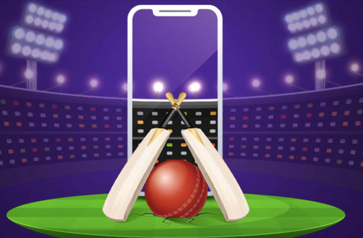 How to make better cricket predictions and win big
