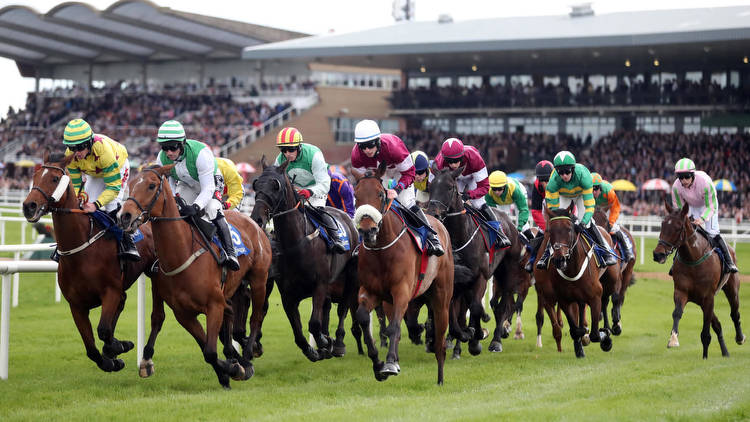 Irish Grand National each-way tips: Trends point to Stumptown and Champagne Platinum