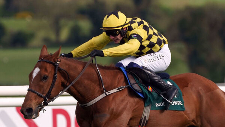 Irish weekend preview: State Man a cut above Punchestown rivals