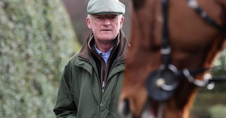 It’s For Me tops another strong Cheltenham Bumper entry for Willie Mullins