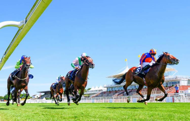 King George Qatar Stakes 2023 Betting Tips and Predictions