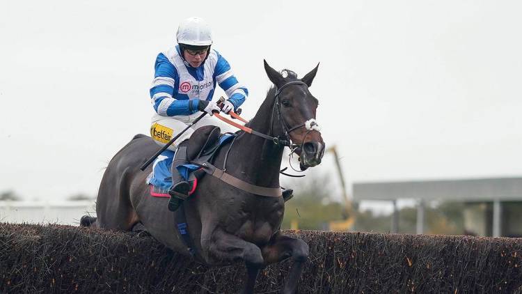 King George VI Chase preview: Owner Paul Vogt realistic over Frodon chances